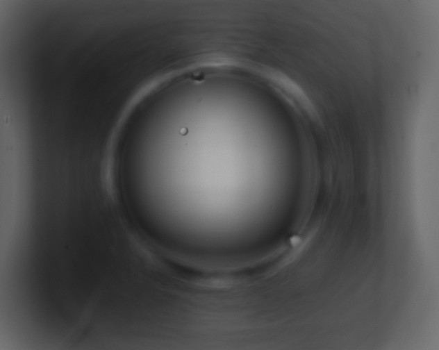 X0000101411326200807071246