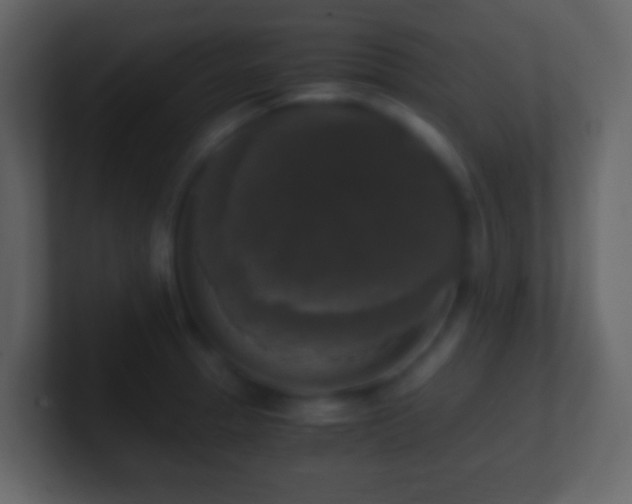 X0000101411329200807071246