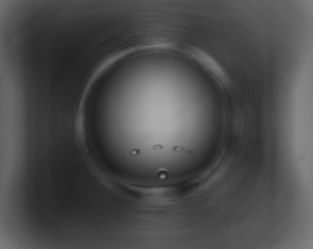 X0000101411332200807071247