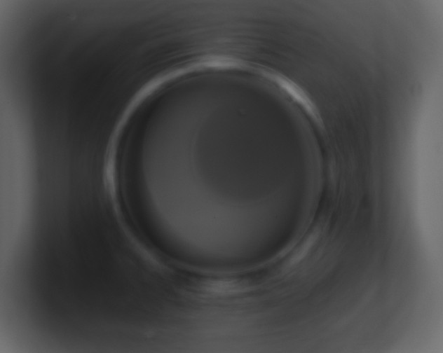 X0000101411334200807071247
