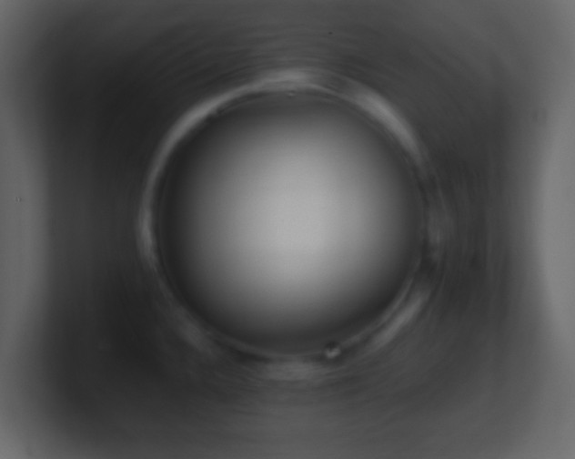 X0000101411336200807071247