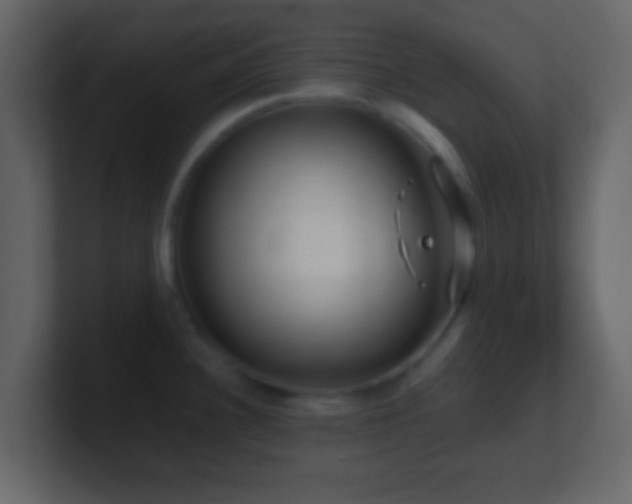 X0000101411340200807071247