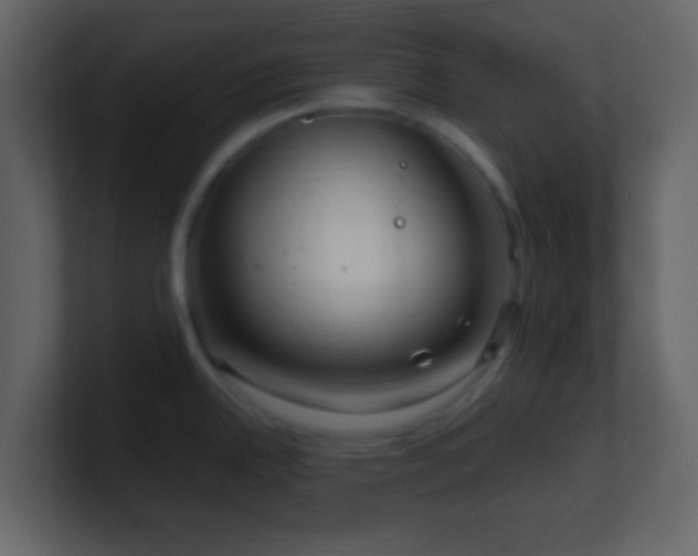 X0000101411342200807071247