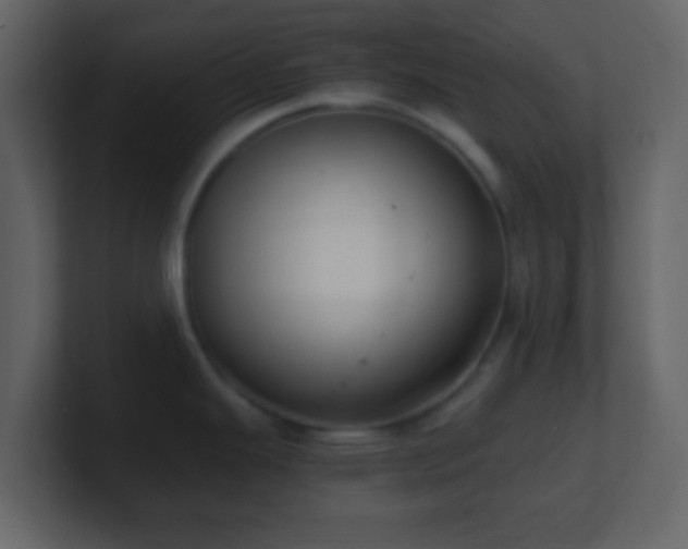 X0000101411343200807071247