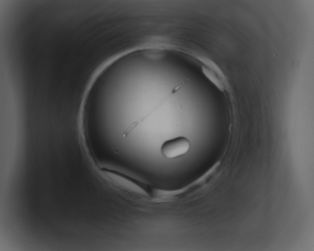 X0000101411344200807071247