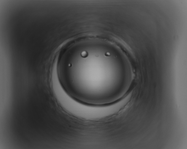 X0000101411352200807071246