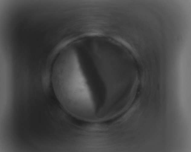 X0000101411359200807071246