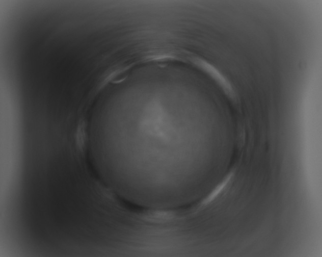 X0000101411361200807071246