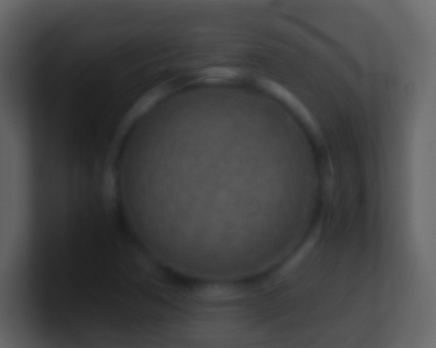 X0000101411362200807071246
