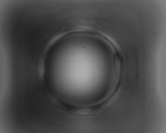 X0000101411363200807071246