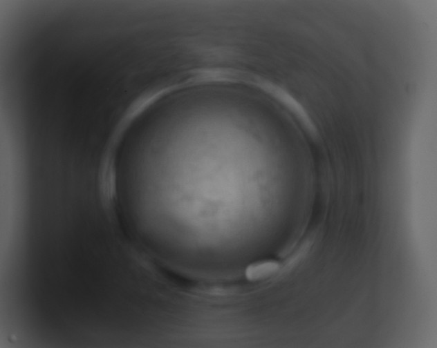X0000101411365200807071246