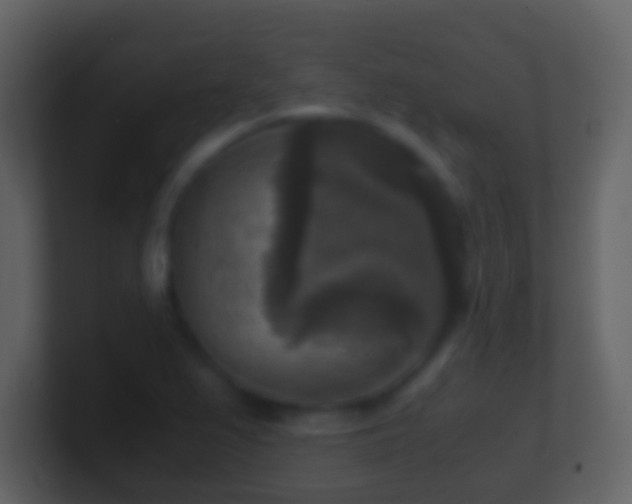 X0000101411367200807071246