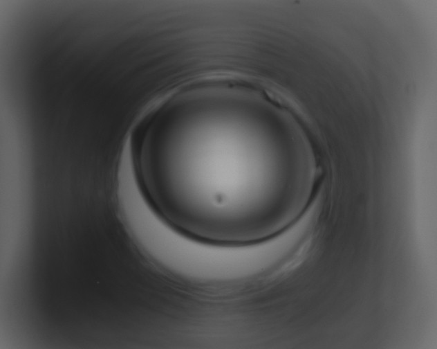X0000101411369200807071246