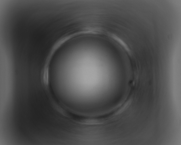 X0000101411371200807071246