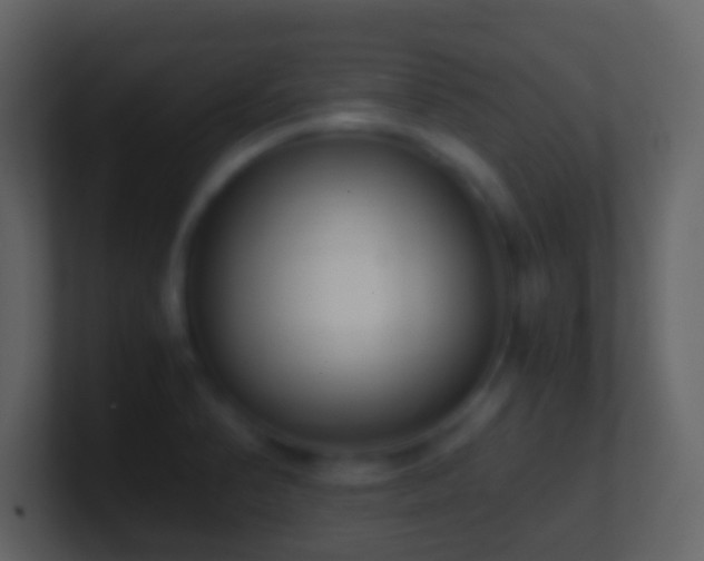 X0000101411374200807071246