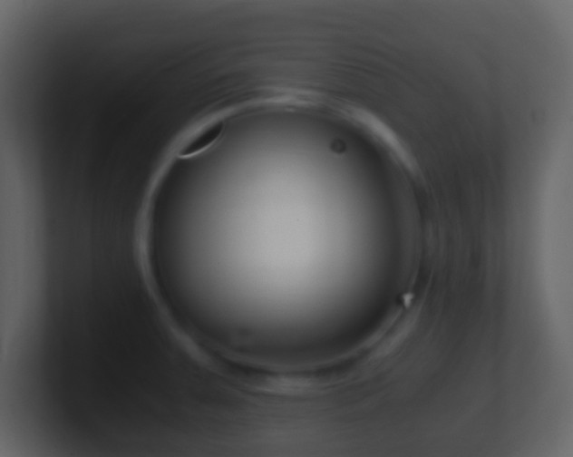 X0000101411379200807071246