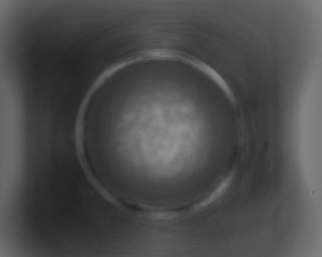 X0000101411381200807071246