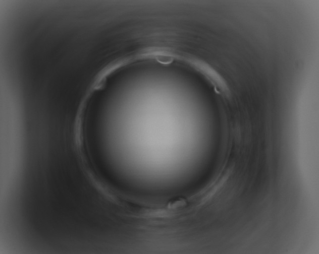 X0000101411382200807071246