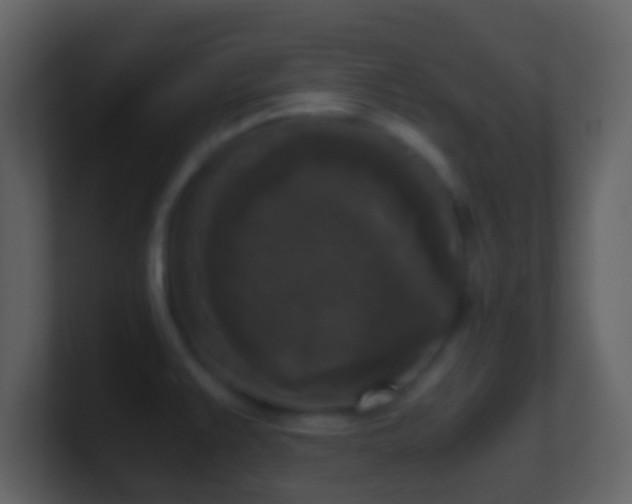X0000101411383200807071246