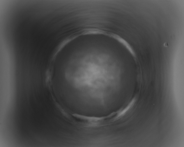 X0000101411385200807071246