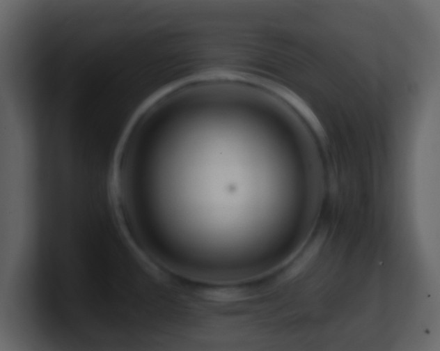 X0000101411388200807071245