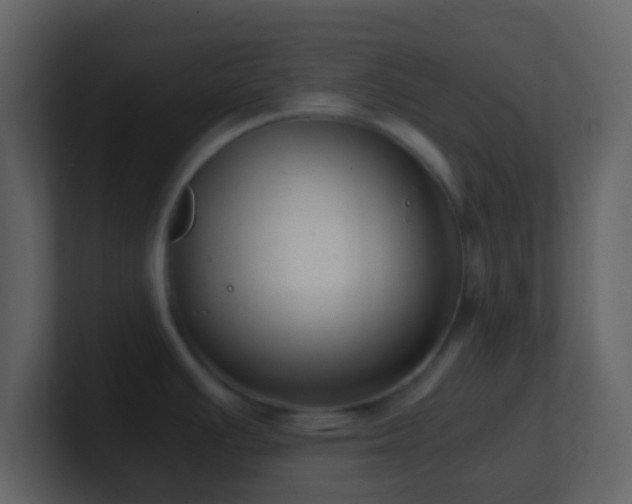 X0000101411391200807071245