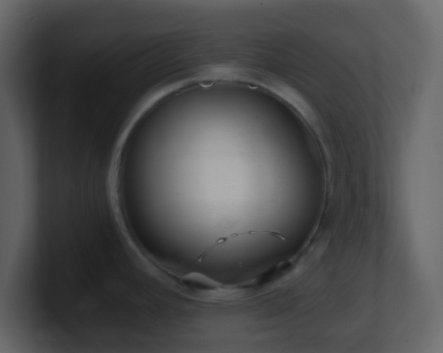 X0000101411392200807071245