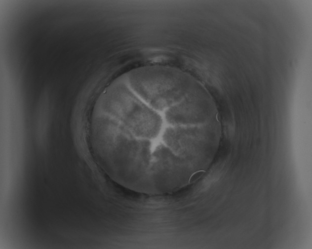 X0000101411393200807071245