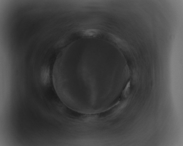 X0000101411394200807071245