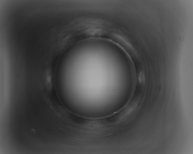 X0000101411396200807071245