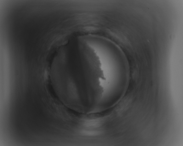 X0000101411397200807071245