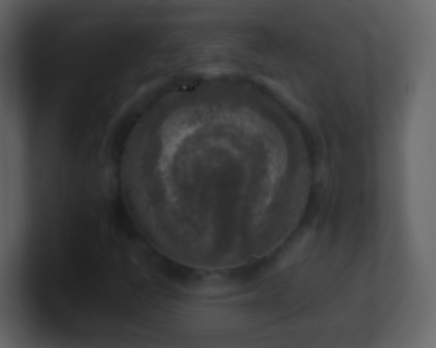 X0000101411398200807071245