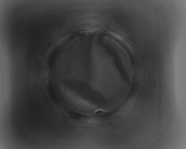 X0000101411399200807071245
