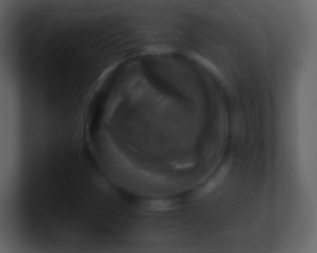 X0000101411401200807071245