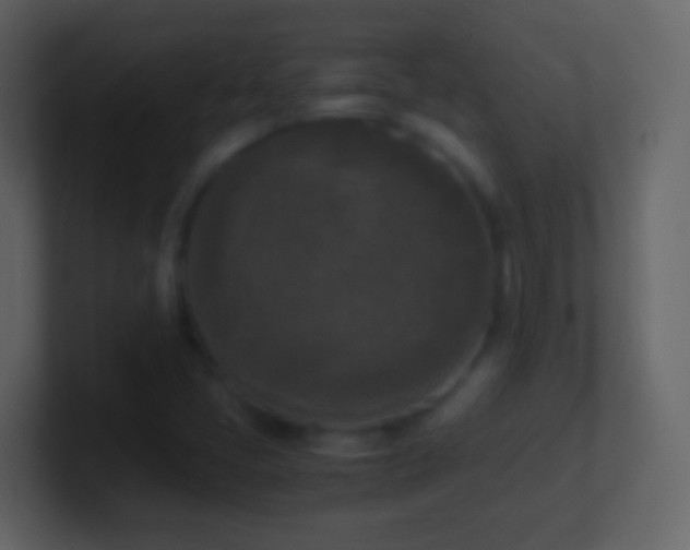 X0000101411405200807071245