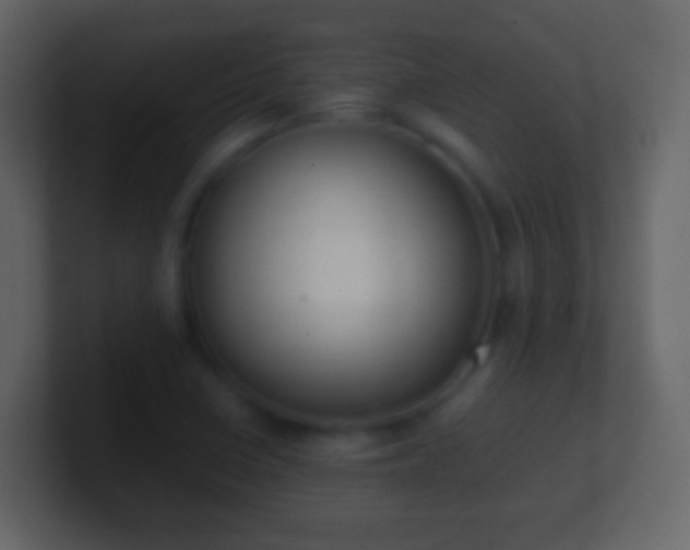 X0000101411410200807071245
