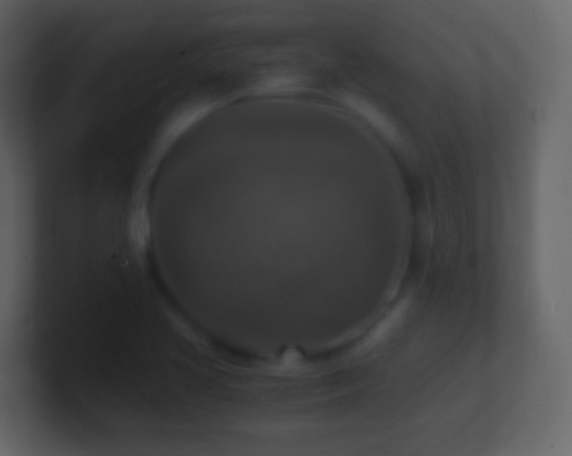X0000101411413200807071245
