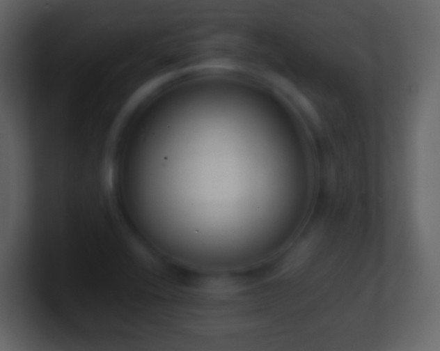 X0000101411416200807071245