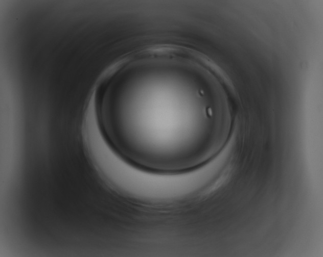 X0000101411417200807071245