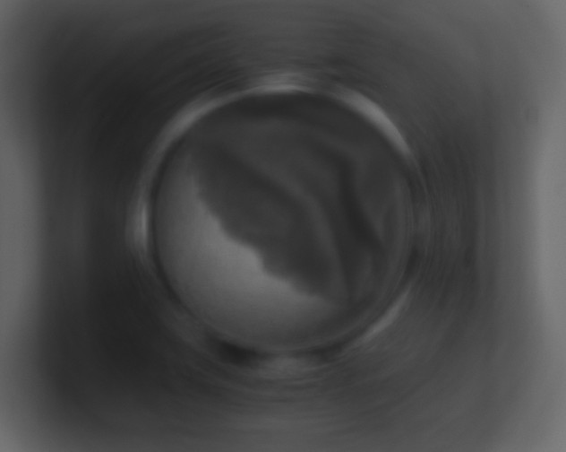 X0000101411419200807071245