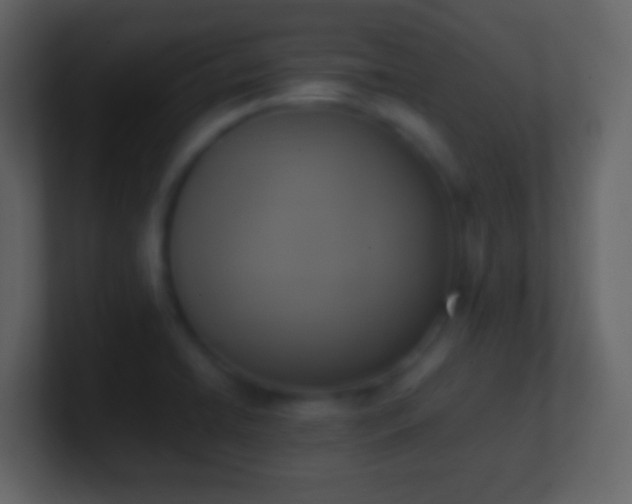X0000101411422200807071245