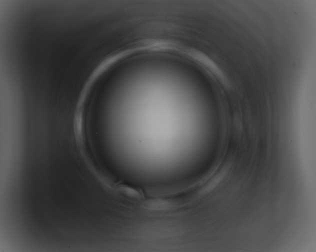 X0000101411424200807071245