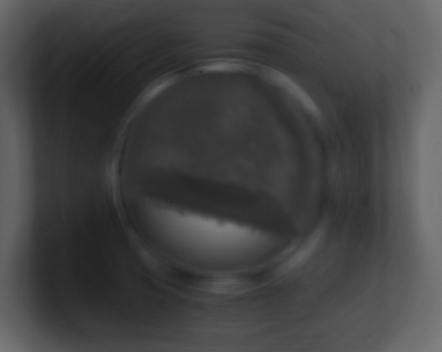 X0000101411425200807071245