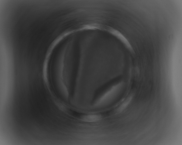 X0000101411427200807071245