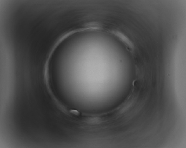 X0000101411431200807071245