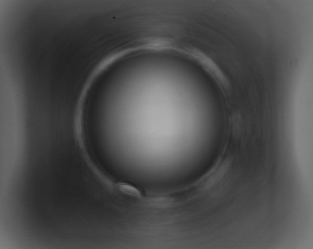 X0000101411432200807071245