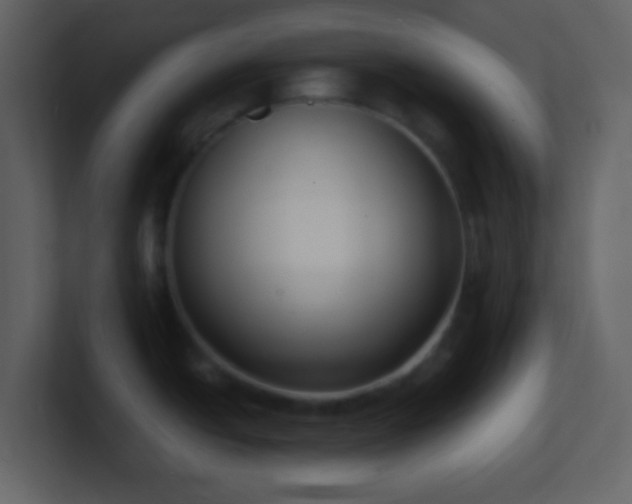 X0000101411438200807071245