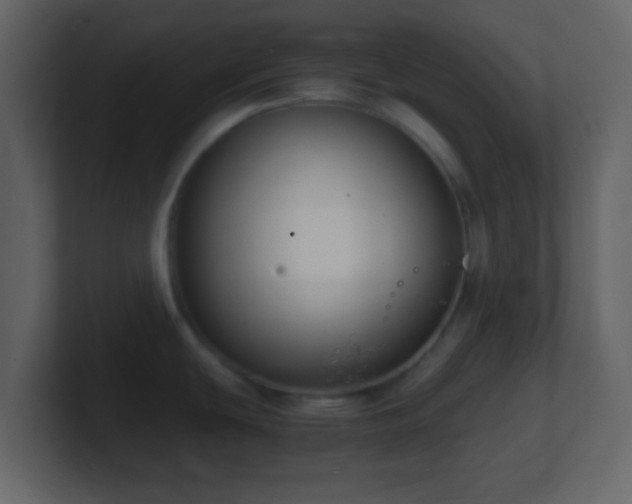 X0000101411439200807071245