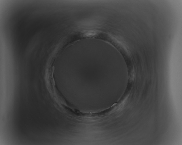 X0000101411441200807071245