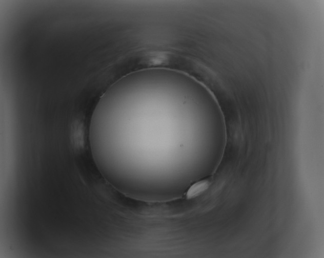 X0000101411442200807071245